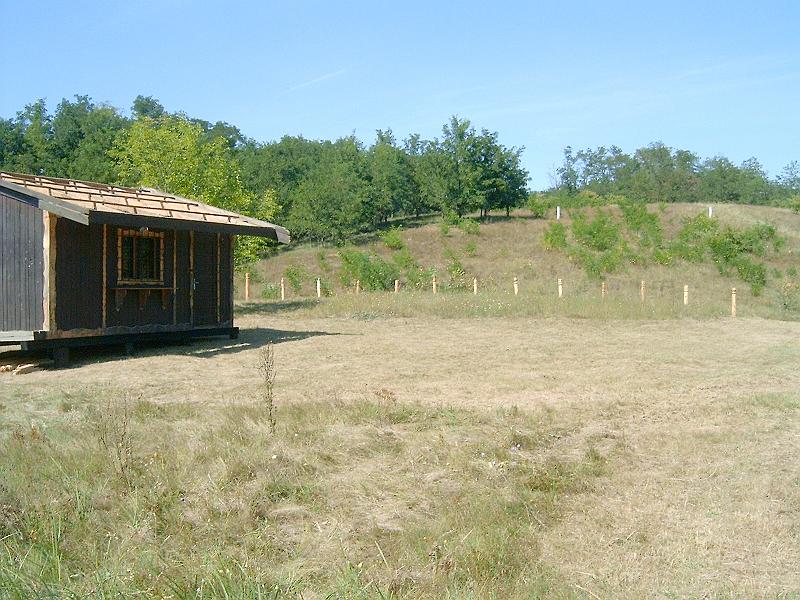2009.08.20 033.jpg